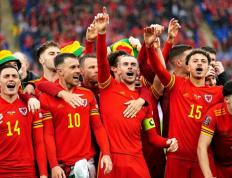 PG中国官网-西班牙不敌威尔士，遭遇一场复仇之战的简单介绍