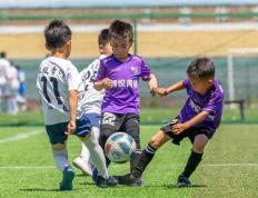 PG电子游戏-中国足球超级联赛带动大批青少年加入足球培训